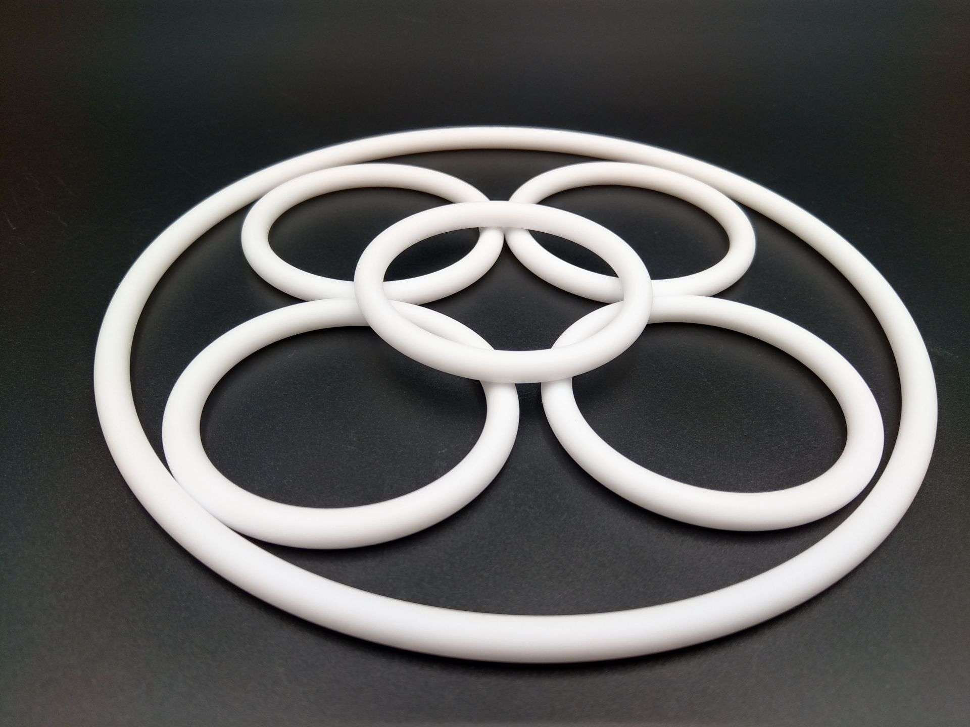 PTFE & Perfluoro O-Rings product image 1