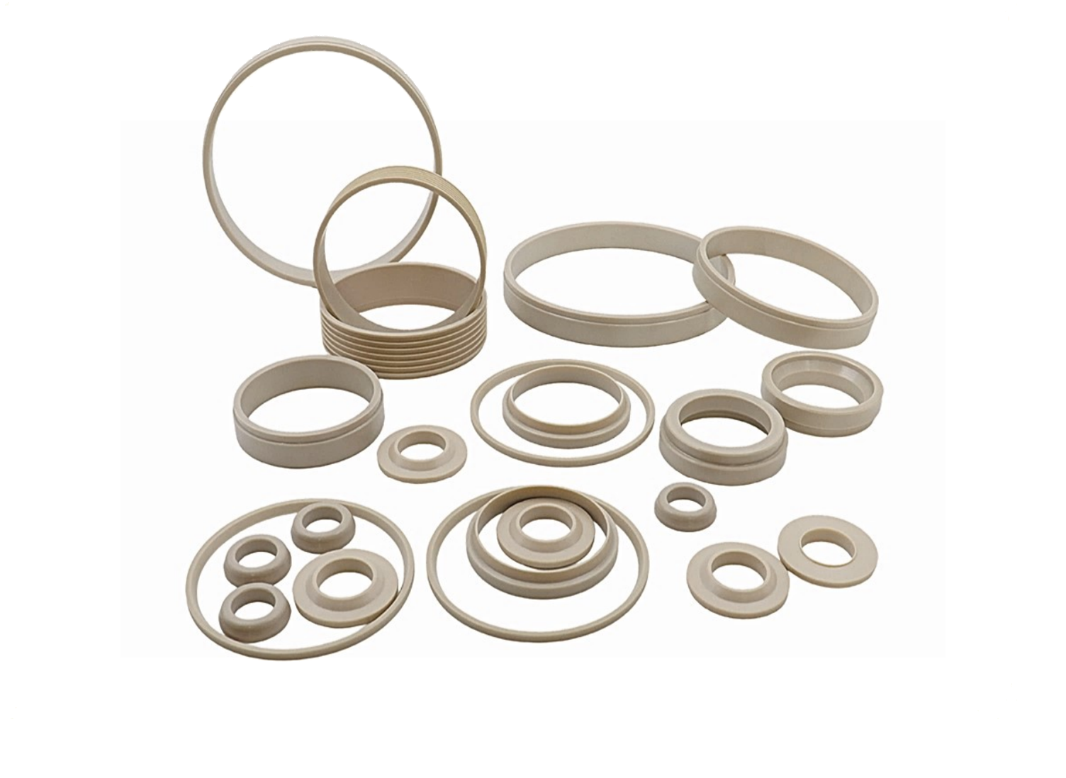 PEEK Fluid Seal product image 1